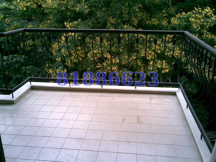 Tanglin Park (D10), Condominium #63291042